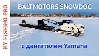 Купил МОТОСОБАКУ! Обзор мотобуксировщика Baltmotors SNOWDOG с двигателем YAMAHA!