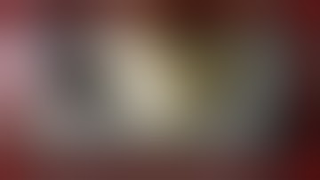 Drug Testing on Beagles