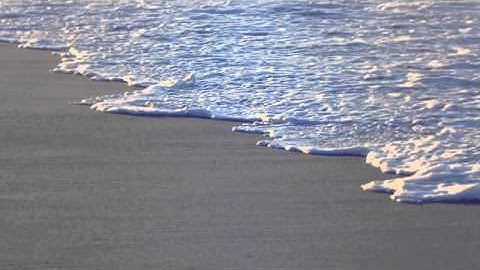 سورة القيامة علي جريد العنزي