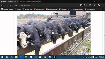 Example of BPSK31 decoding with HDSDR and FLDIGI on 20 meters