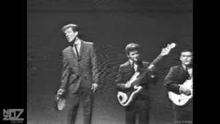 The Thorts - Tambourine Man (1965)