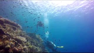 Freediving At Tanjung Rum, Tidore, Indonesia