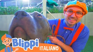 Download Lagu Blippi e il cagnolino al rifugio di animali | Blippi in Italiano | Video educativi per bambini MP3