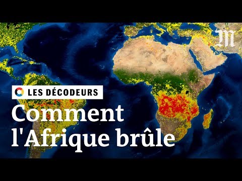 Vidéo: Les Incendies En Afrique Centrale Sont Pires Que Les Incendies En Amazonie