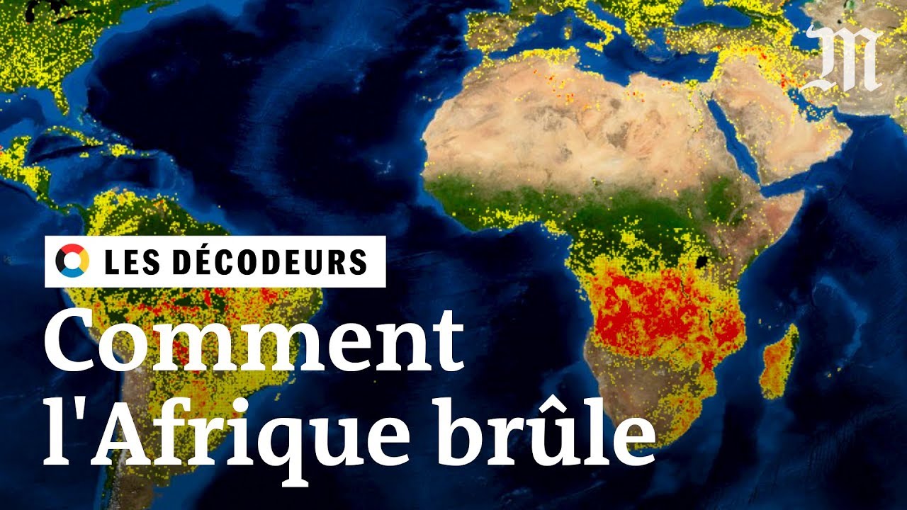 Les Incendies En Afrique Et En Amazonie Sont Ils Comparables