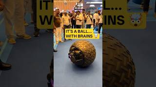 Canton Fair 2025 – The Craziest Robot You'll See