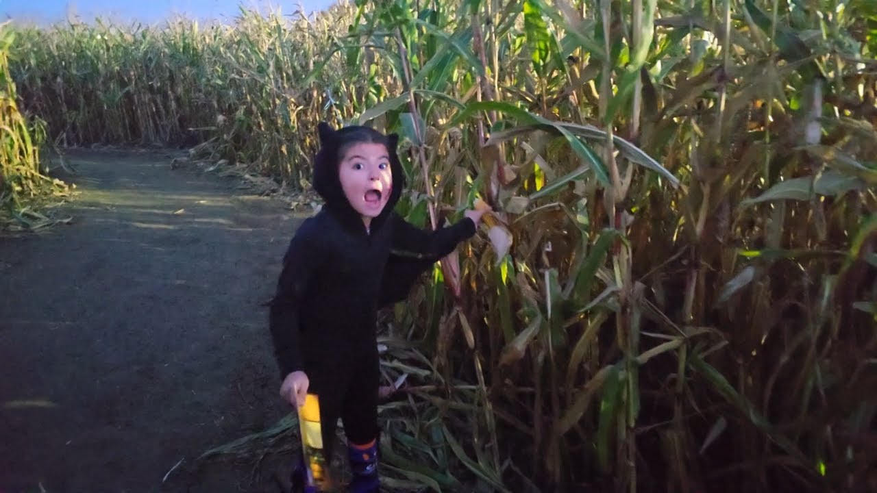 WALK THROUGH THIS GIANT CORN MAZE WITH ME! 🌽🚶‍♂️✨