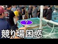【なんでこの魚が？】とんでもない魚が競り場にいたので落札して食べてみた