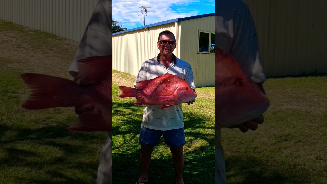 Reef Fishing Solo - Caught a feed in uncomfortable conditions 