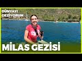 Dünyayı Geziyorum - Milas | 9 Ağustos 2020