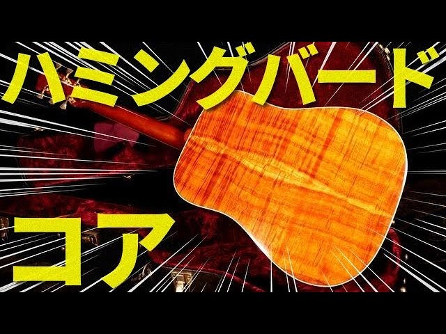 ハワイアンコアのハミングって？【Gibson Custom Shop HUMMINGBIRD