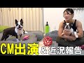 タレントの金子みゆさんとTikTokのCMに出演しました！
