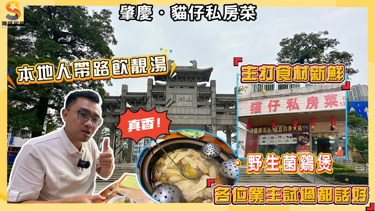 肇慶貓仔私房菜｜雲南野生菌雞煲｜本地人帶路飲靚湯｜主打食材新鮮｜吃過嘅業主都話好！！