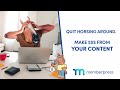 Quit Horsing Around. Make Money with Your Content!