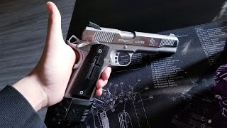 1911 Fix: Preventing The Idiot Scratch