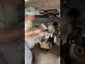 #truck #mechanic #bush #pin #service #trendingshorts #youtubeshorts