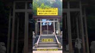 ✨この映像を眺めていると事代主様の御加護によって運気が上昇していきます⤴️【恵比須社】 #運気上昇 #スピリチュアル #パワースポット #遠隔参拝