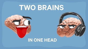 The INSANE Split Brain Research Findings