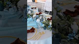 Premium Porcelain Crockery Collection for Hotels & Restaurants | Sachi Products Since 1996