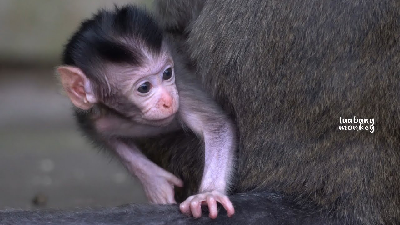 Наконец-то мне вернули молоко, спасибо, мама!