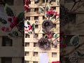 Raz 29" Iced Nest with Holly Christmas Tree Pick F4606768