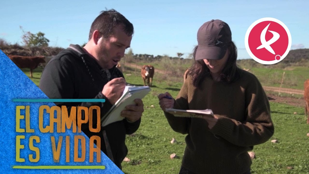 María y Javi inspeccionan a todas las vacas | El campo es vida