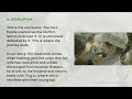 Storytelling for health impact: Develop a story arc (part 4)