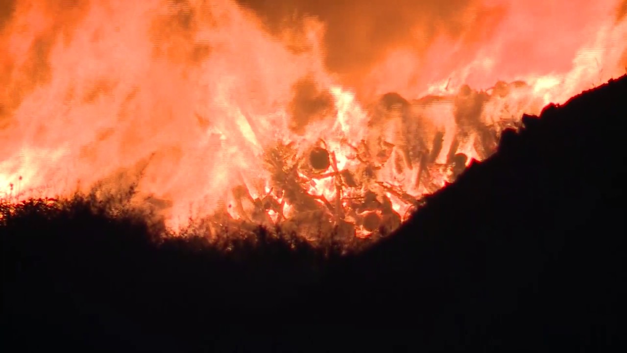 Locust fire YouTube
