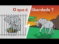 Como Ser Livre Em Um Mundo Sem Liberdade O Evangelho Em 6 Minutos Liberdade Evangelho Como Ser Livre Em Um Mundo Sem Liberdade O Evangelho Em 6 Minutos Liberdade Evangelho