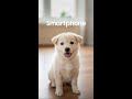 26Galaxy AI | What's next?: Dog sticker | Samsung