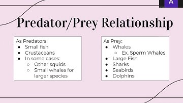 Protostomes Video Project