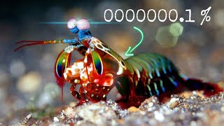 If You See It You Are Lucky Top 10 Rarest Animals In The World