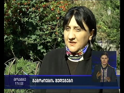 მთავარი პროკურატურის მიერ  საგარეჯოში ჩატარებულ არჩევნებზე გამოძიების შეწყვეტა - შეფასებები