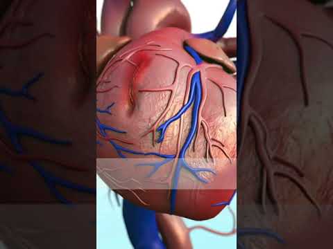 5 Best Foods To Unclog Your Arteries From Heart Attack #shorts