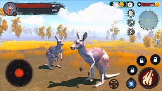 🦘Kangaroo VS 🐐Goat, 🐏Sheep,  🦊Fox, 🐀Rat, 🦌Deer, 🐇Rabbit - By Wild Life screenshot 5