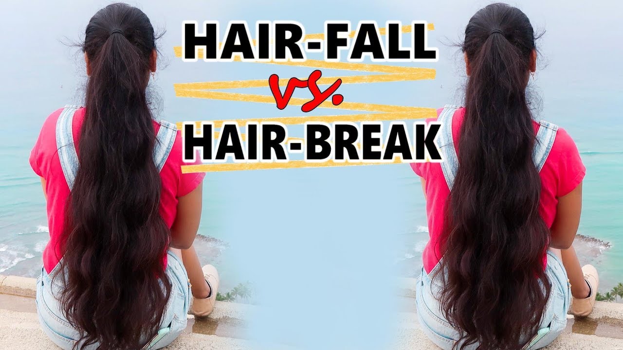 Hair Fall vs Hair Breakage Must Watch YouTube