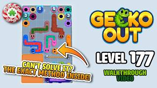 Gecko Out - Level 177 Walkthrough Solution