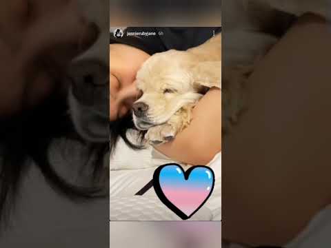 Blackpink Jisoo, Jennie and Rosé Instagram Story Update (June 19-24, 2021)
