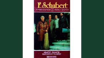 String Quartet No. 1 in G Minor/B-Flat Major, D. 18: I. Andante - Presto vivace