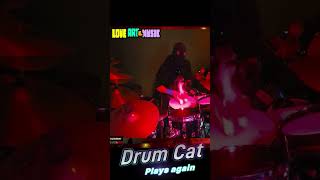 DRUM CAT 2