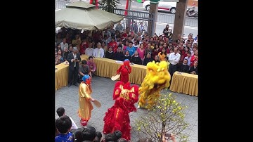 Mừng Xuân Tân Sửu 2021|| @NguTranUSA | Video #7