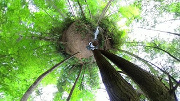 Welcome To Cataract Falls (360 Video)