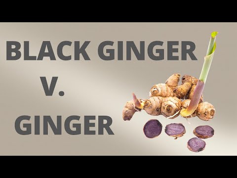 Black Ginger vs. Ginger - What's the difference?