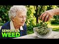 The Senior Cannabis Boom: Rise in Senior Weed Use in These 8 U.S. Cities