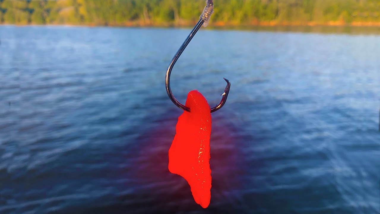 Lots of Catfish on My Crazy Catfish Bait 