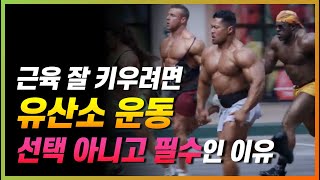 웨이트 전후 짧은 유산소 운동의 놀라운 효과 ㄷㄷ 제발 하세요