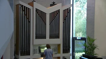 De Levensbron Goes | Ds. T.W. van Bennekom - 24 augustus 2025 | Jesaja 40 : 25 – 31