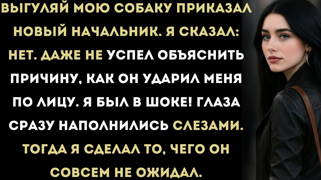 Новый начальник ударил меня, когда я отказался выгуливать его собаку. Через 30 минут…»