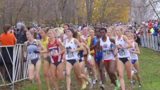 Cross Country Running - The Anthology, Chapter 5 -- 2015/2016 Edition