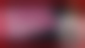 What Are The Key Components Of A Research Paper? - The Language Library